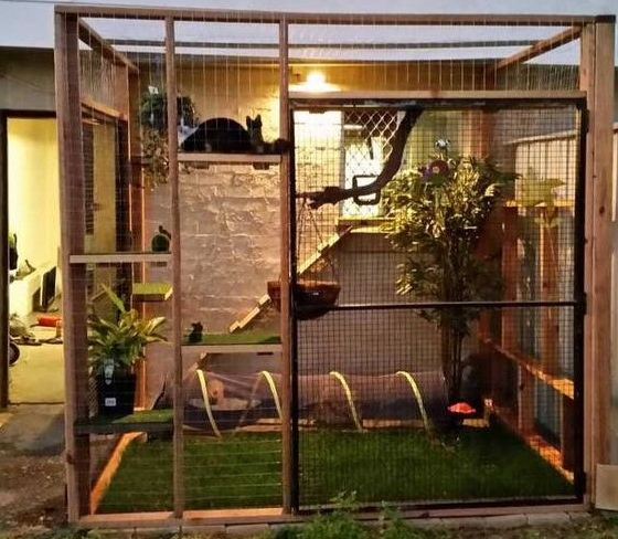 Turn your patio area into a catio