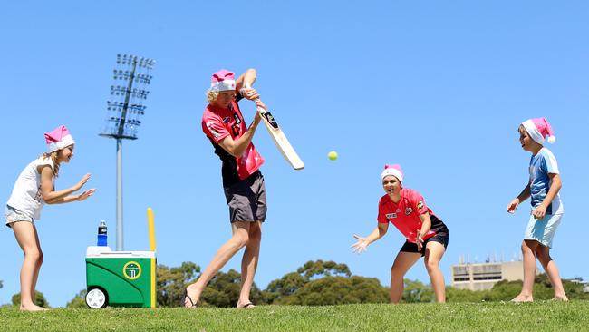 christmas cricket Outdoor Christmas Ideas Australia