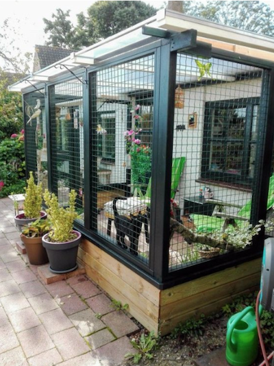 benefits of a patio dog enclosure