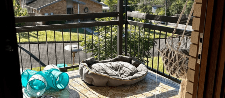 The Benefits of a Patio Dog Enclosure: How Your Dog Can Benefit from Outdoor Time