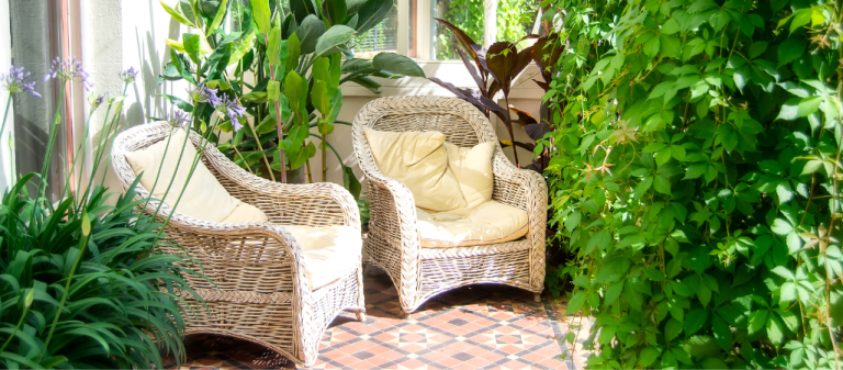 10 Plants to Give Your Patio a Greenery Boost in SE Qld