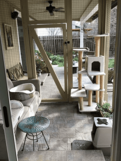 Cat Enclosure Under Patio Roof