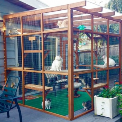 Catio pet enclosure